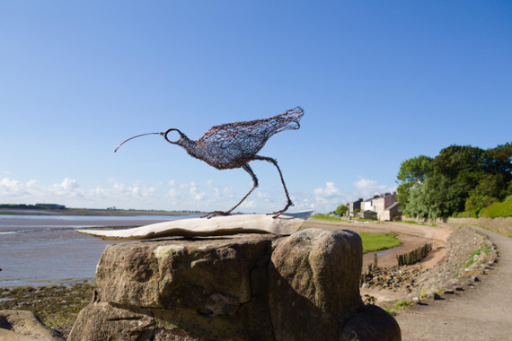 364 - Curlew - In Pursuit