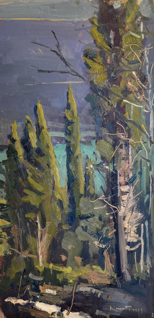 410 - Through the Pines to the Sea