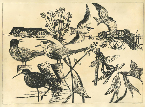 032 - Birds of the Wadden Sea marshes II