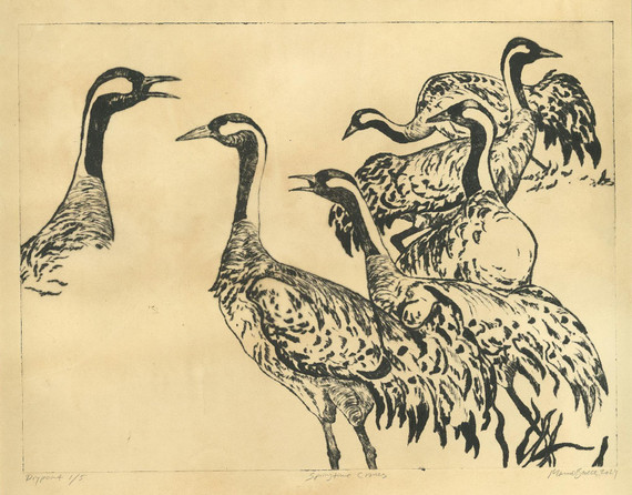 035 - Springtime Cranes