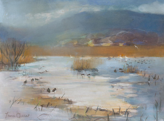 043 - Frozen moss 2