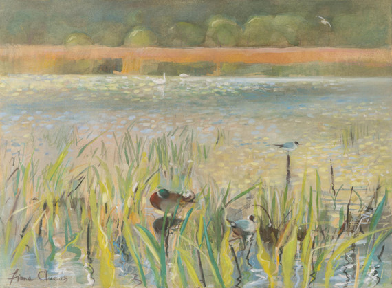 044 - Spring, Leighton Moss