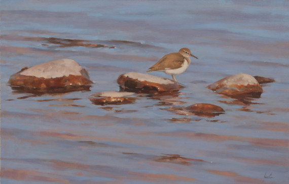 052 - Rocks in the shallows