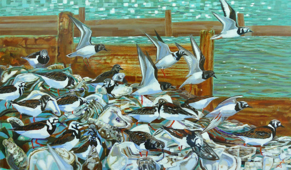 085 - Turnstones and Oyster Shells, Whitstable Beach