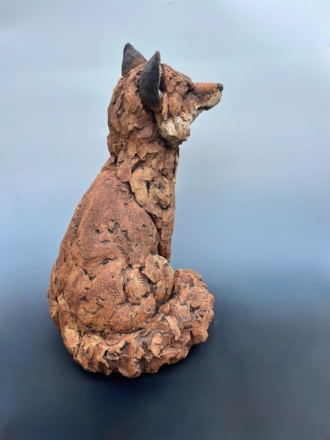 111 - Fox