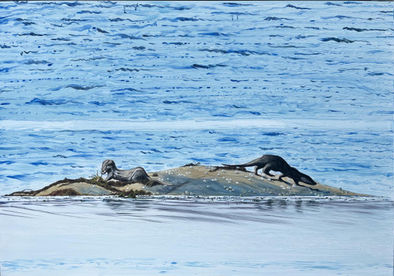 134 - Atlantic Otters