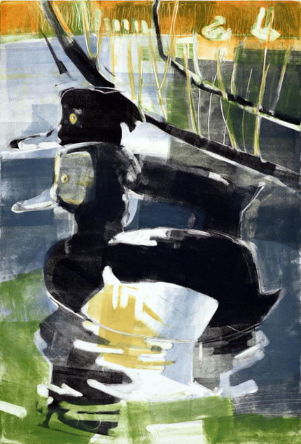 176 - Tufted Ducks and Mute Swans