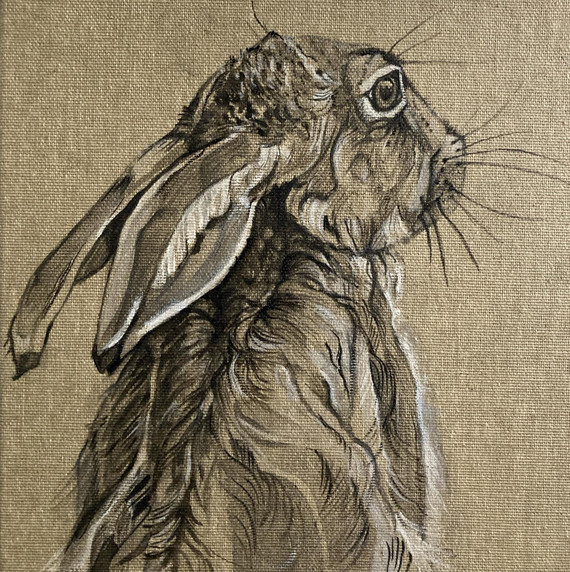 208 - Brown Hare