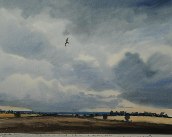 247 - Red Kite near Oulston