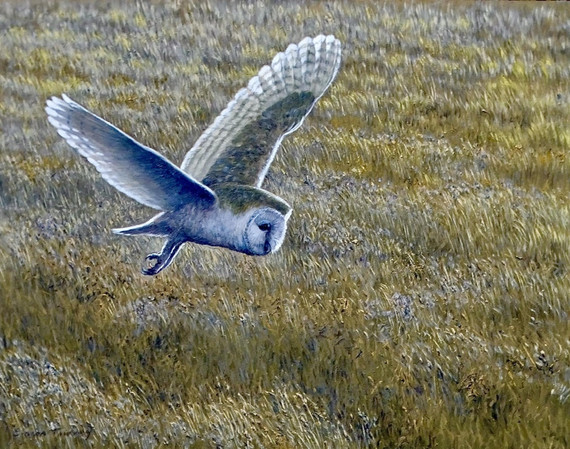 327 - Quartering the meadow