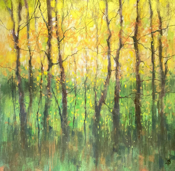 061 - Bright Spring Day