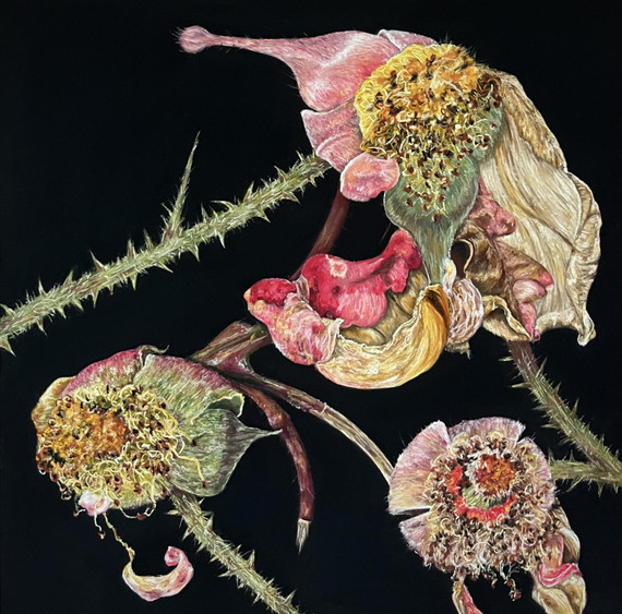 330 - In the Night Garden