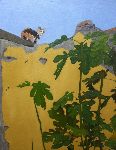 001 - Cat on Yellow Wall I