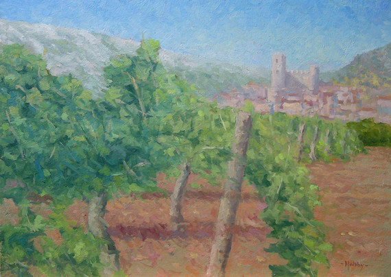 184 - Vineyard at St Jean de Bueges, Mistral Blowing