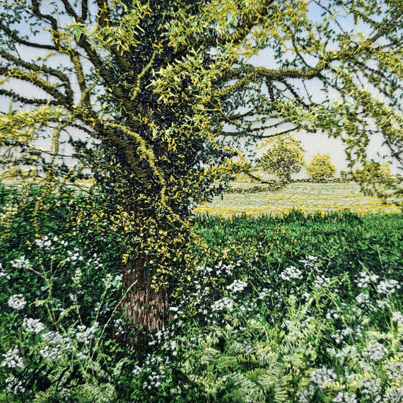 211 - Hedgerow Oak