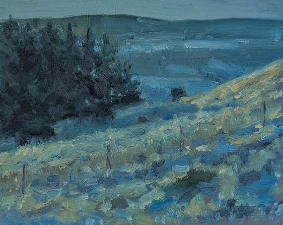 238 - Frosty Morning