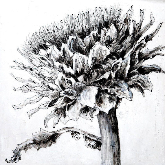 334 - Artichoke's Bloom