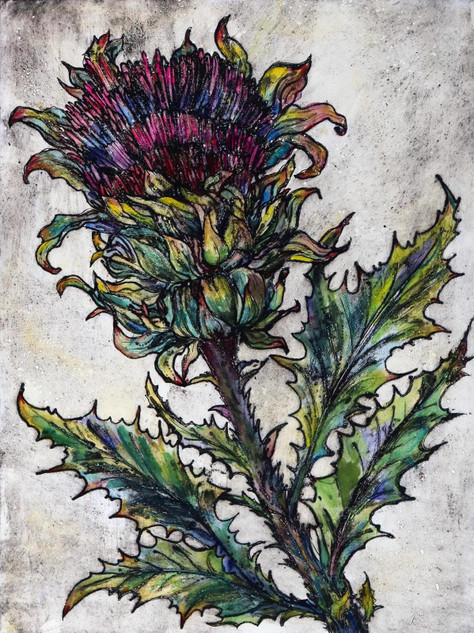 337 - Scottish Thistle