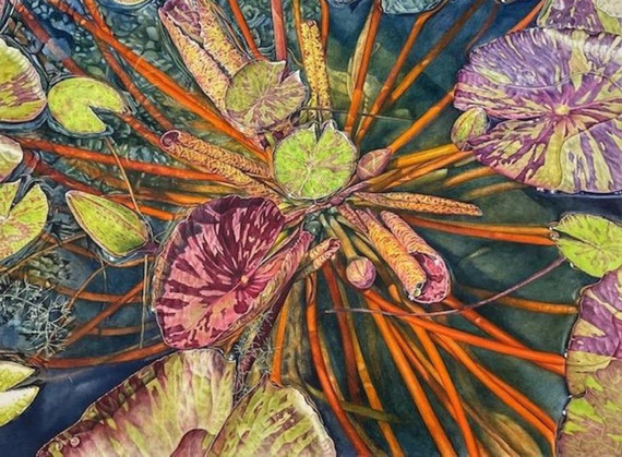 120 - For the Love of Ponds