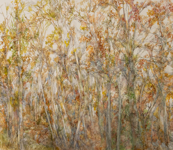 298 - Autumn