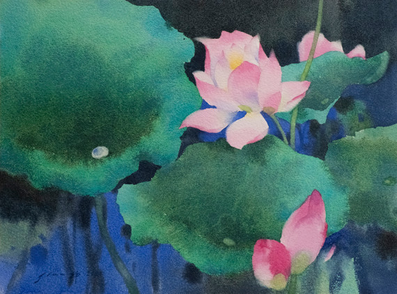 308 - Lotus Series - Grows Through Dirt