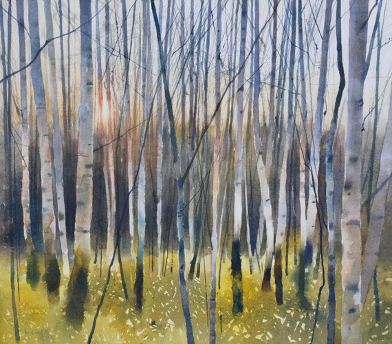 313 - Birch and Moss