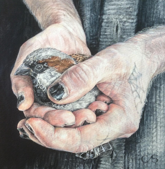 408 - Nest