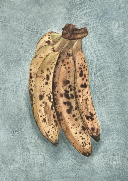 480 - Bananas