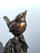 124 - The Wren, "A voice cast in bronze"