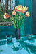 290 - Tulips