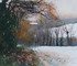 295 - Snow and Leaves