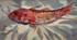 046 - The Red Mullet