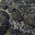 143 - Patterns Amongst the Rocks