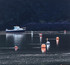 204 - Incoming Tide - Restronguet Creek, Cornwall