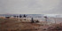 271 - Camel Riders at Sidi Kaouki Beach, Morocco