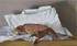 273 - Crab on the Run
