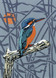 028 - Kingfisher