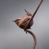 037 - Wren IV
