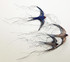 040 - A flight of Swallows