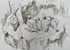 094 - Guillemots (Field sketch, St Abbs Head)