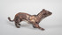 206 - Drill tailed Stoat