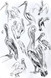 214 - Pelican pod (New arrivals at the WWT London Wetland Centre)