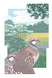 279 - Red-legged Partridge