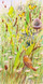 339 - Clouded Yellows and Sedge Warbler