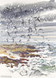 353 - Spring storm and Puffin whirl over the Isle of May