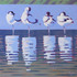 011 - Four Avocets