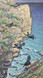 232 - Cornish Choughs