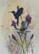 272 - Sunbirds, dark blossoms