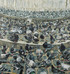 242 - Dam Square Pigeons