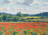 249 - Poppy Field, North Norfolk